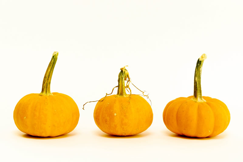 Pumpkins by Sherry Helwer